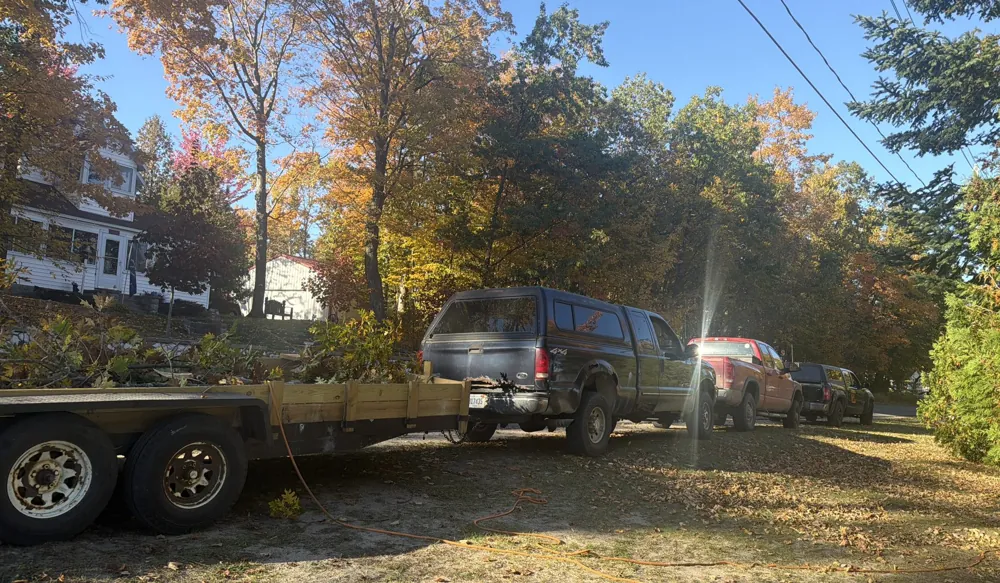Pickup trucks and a trailer loaded with cut branches at a job site